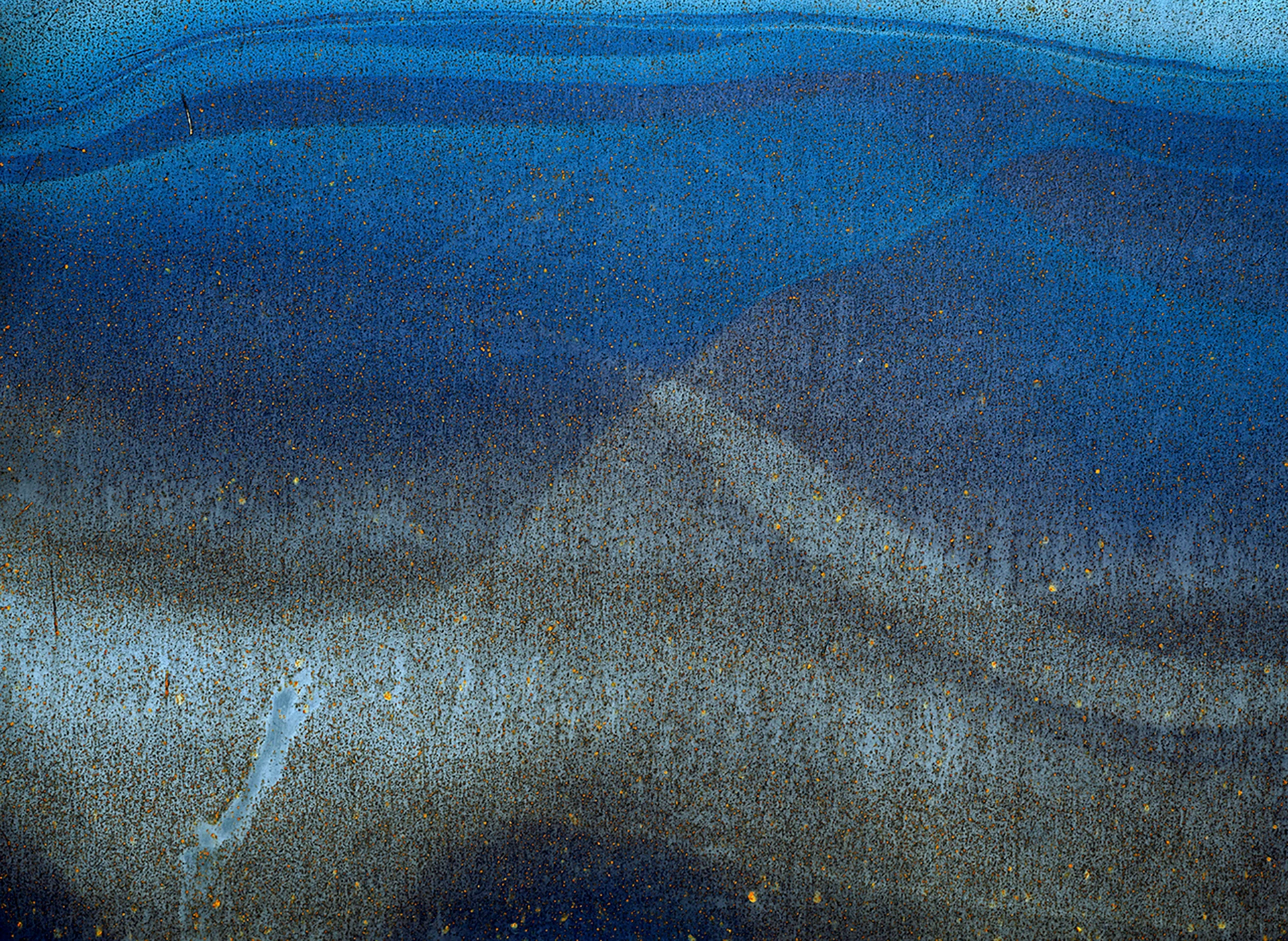 Photo 45
